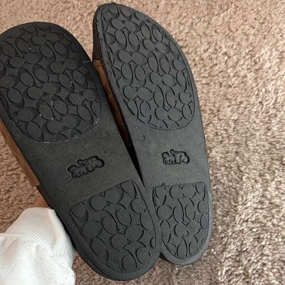 Coach slides - Picture 2 of 3